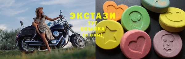 a pvp Пересвет