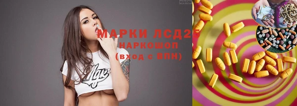 гидропоника Богданович