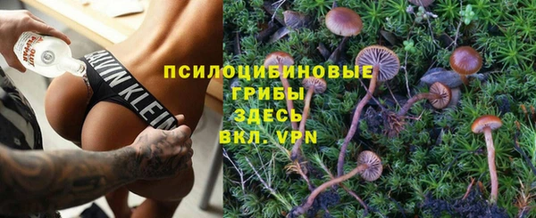 гидропоника Богданович