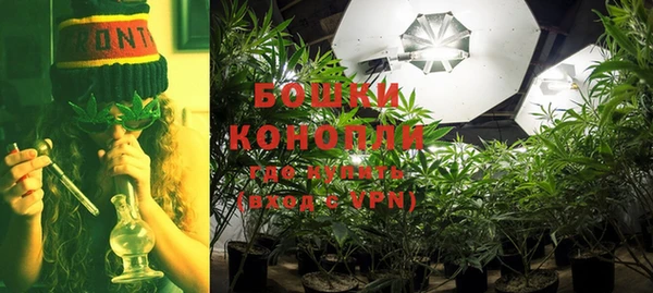 гидропоника Богданович