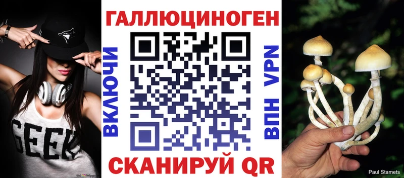 цены Белореченск Псилоцибиновые грибы Magic Shrooms